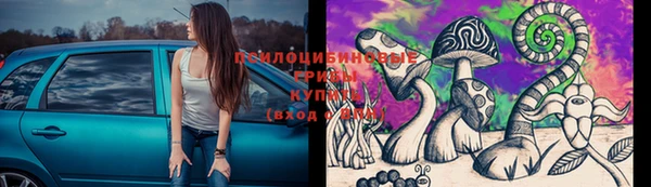 сатива Струнино