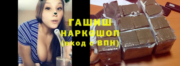 прущие грибы Бородино