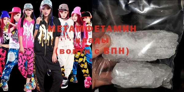 прущие грибы Бородино