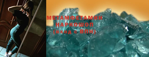 прущие грибы Бронницы