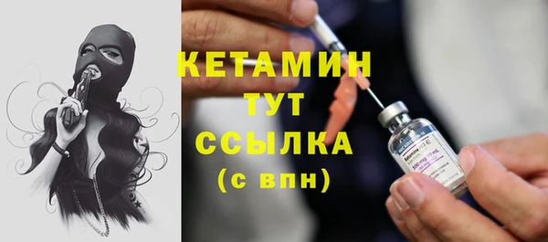 прущие грибы Бронницы