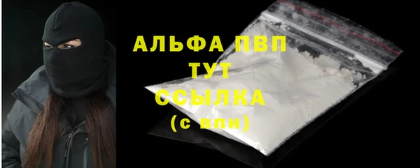 прущие грибы Бородино