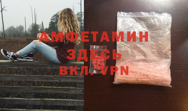 прущие грибы Бородино