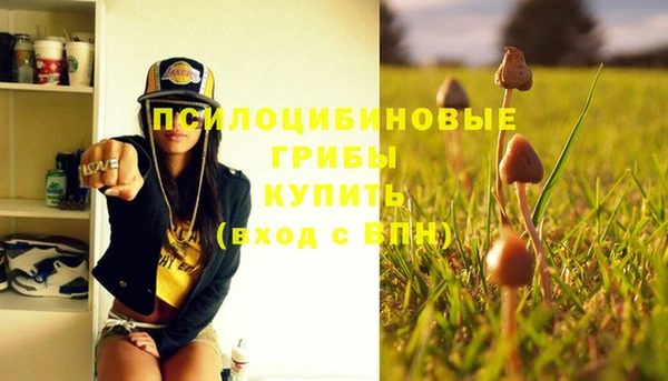 прущие грибы Бронницы