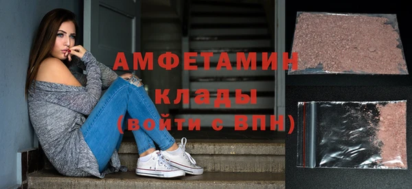 прущие грибы Бронницы