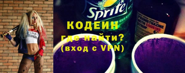 прущие грибы Бородино
