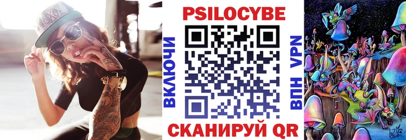 цена наркотик  кракен ССЫЛКА  Псилоцибиновые грибы Cubensis  Новокузнецк 